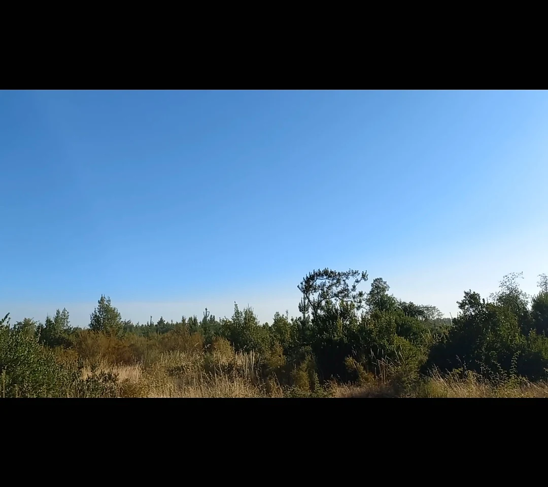 Terreno 10.000 m² (1 há) en Arriendo – Sector Duqueco, Los Ángeles