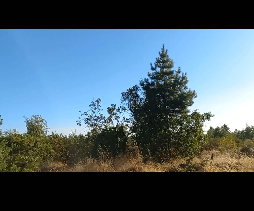Terreno 10.000 m² (1 há) en Arriendo – Sector Duqueco, Los Ángeles – foto 3