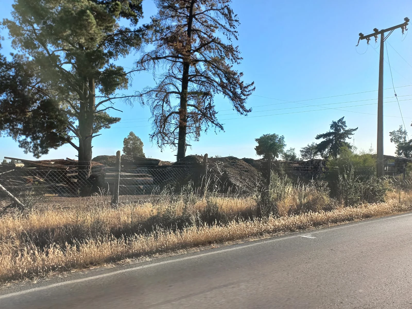 Terreno 10.000 m² (1 há) en Arriendo – Sector Duqueco, Los Ángeles – foto 4