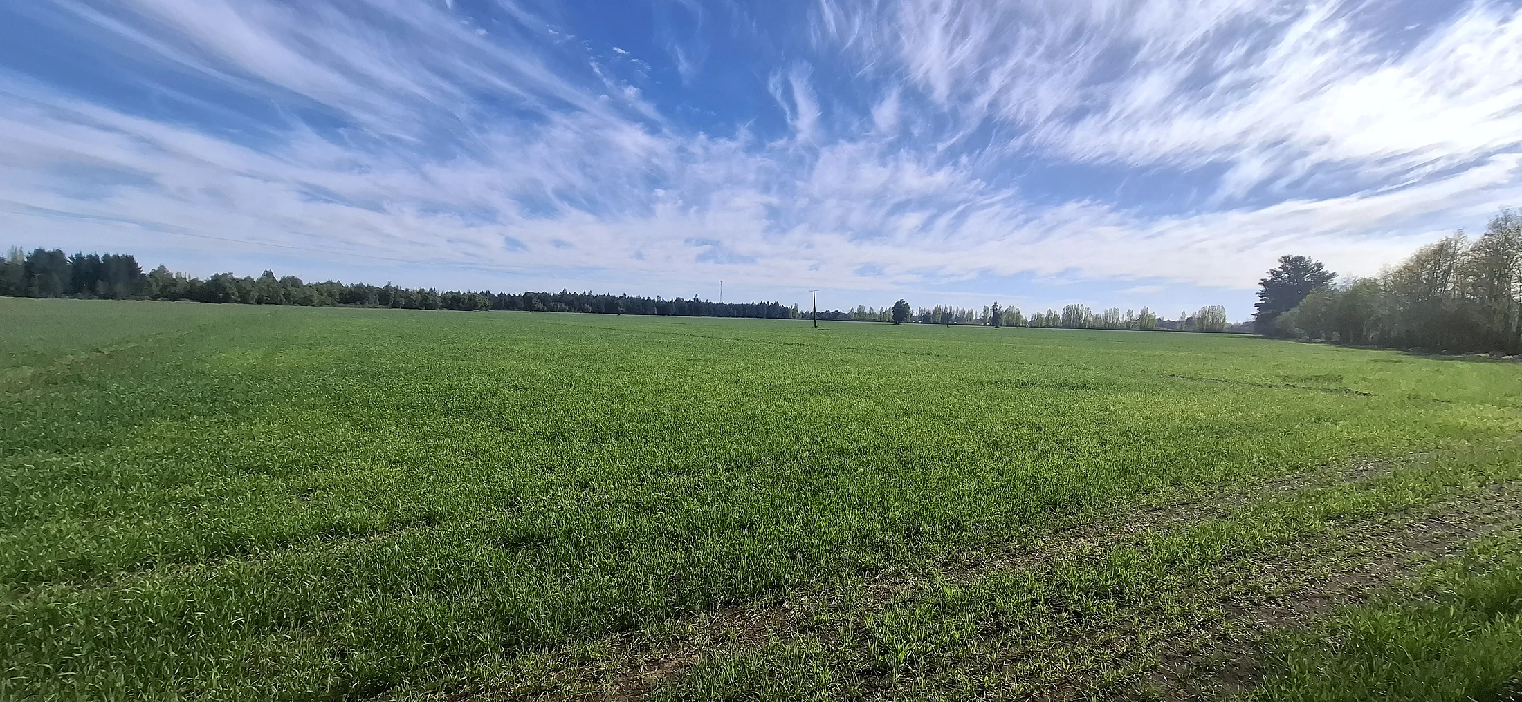 Predio Agrícola 34,5 Hectáreas en Venta – Camino El Peral, Los Ángeles