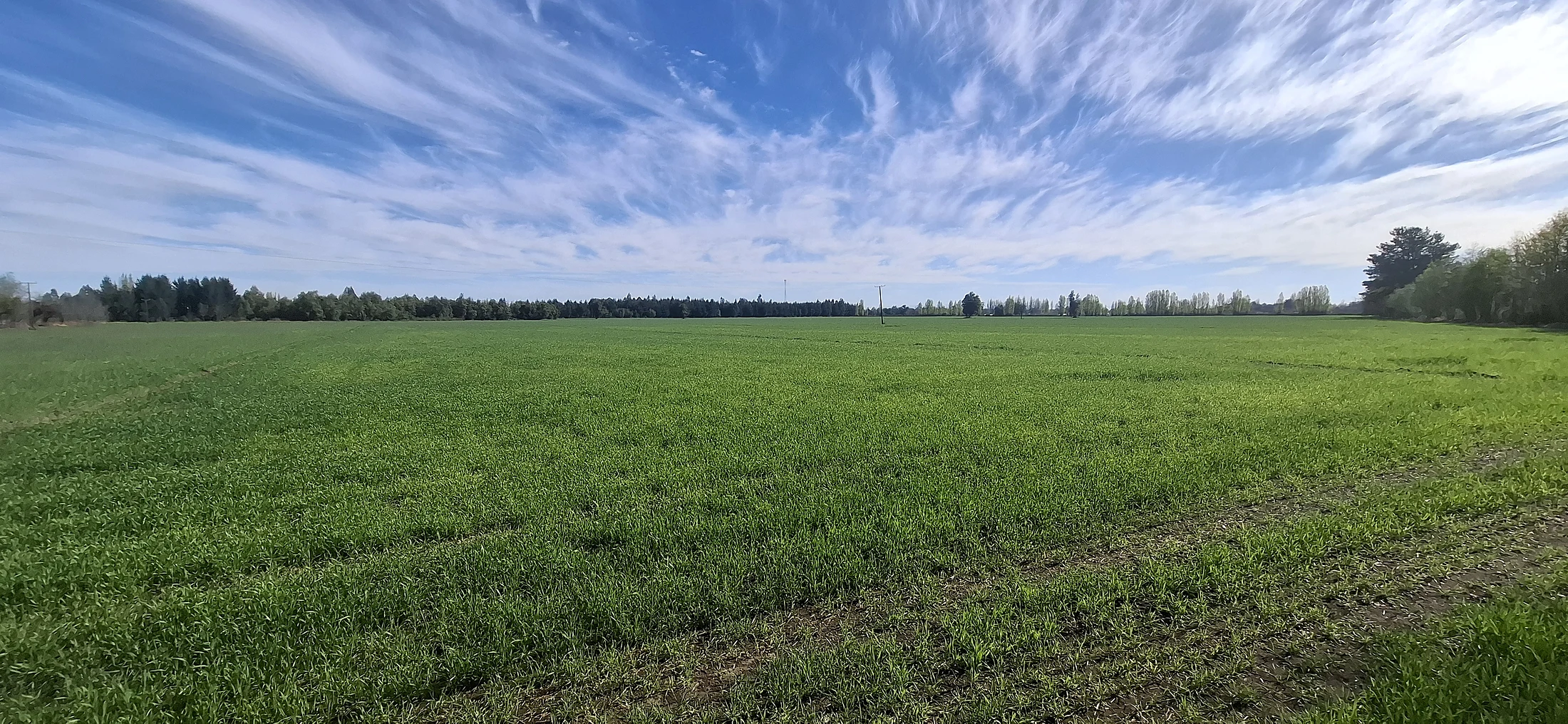 Predio Agrícola 34,5 Hectáreas en Venta – Camino El Peral, Los Ángeles – foto 3
