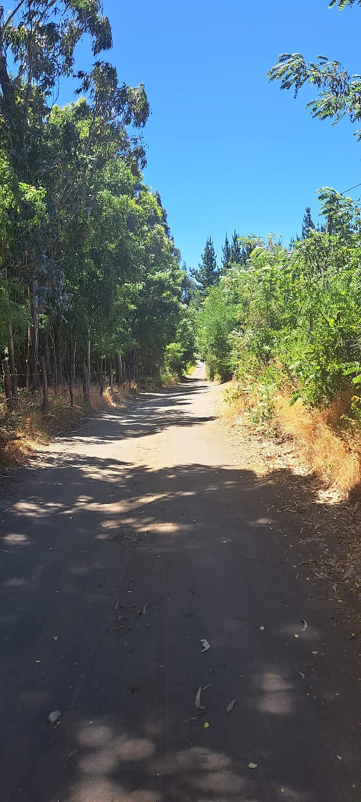 Terreno 5.000 m² en Venta – Sector Cancha Rayada, Los Ángeles