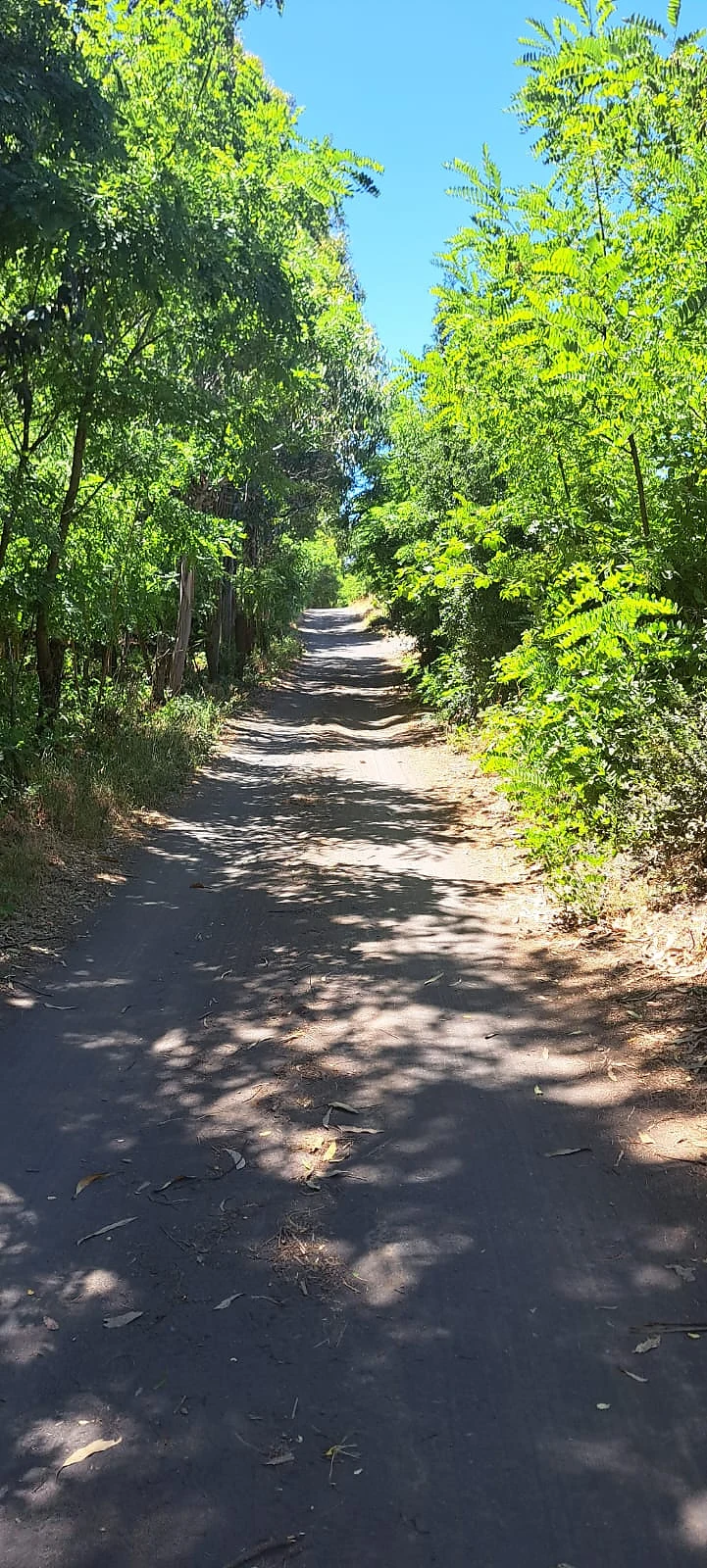 Terreno 5.000 m² en Venta – Sector Cancha Rayada, Los Ángeles – foto 2