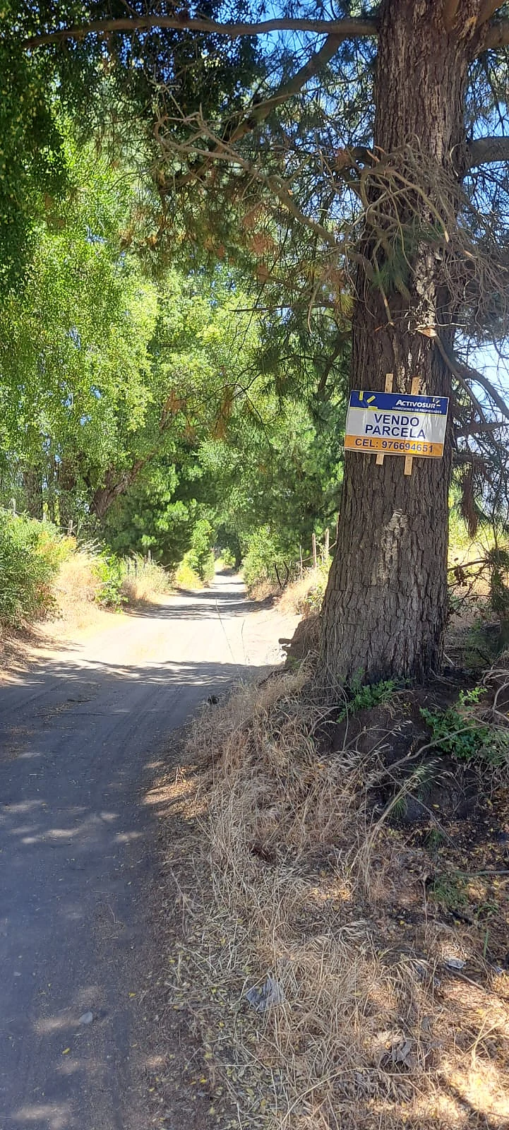 Terreno 5.000 m² en Venta – Sector Cancha Rayada, Los Ángeles – foto 3
