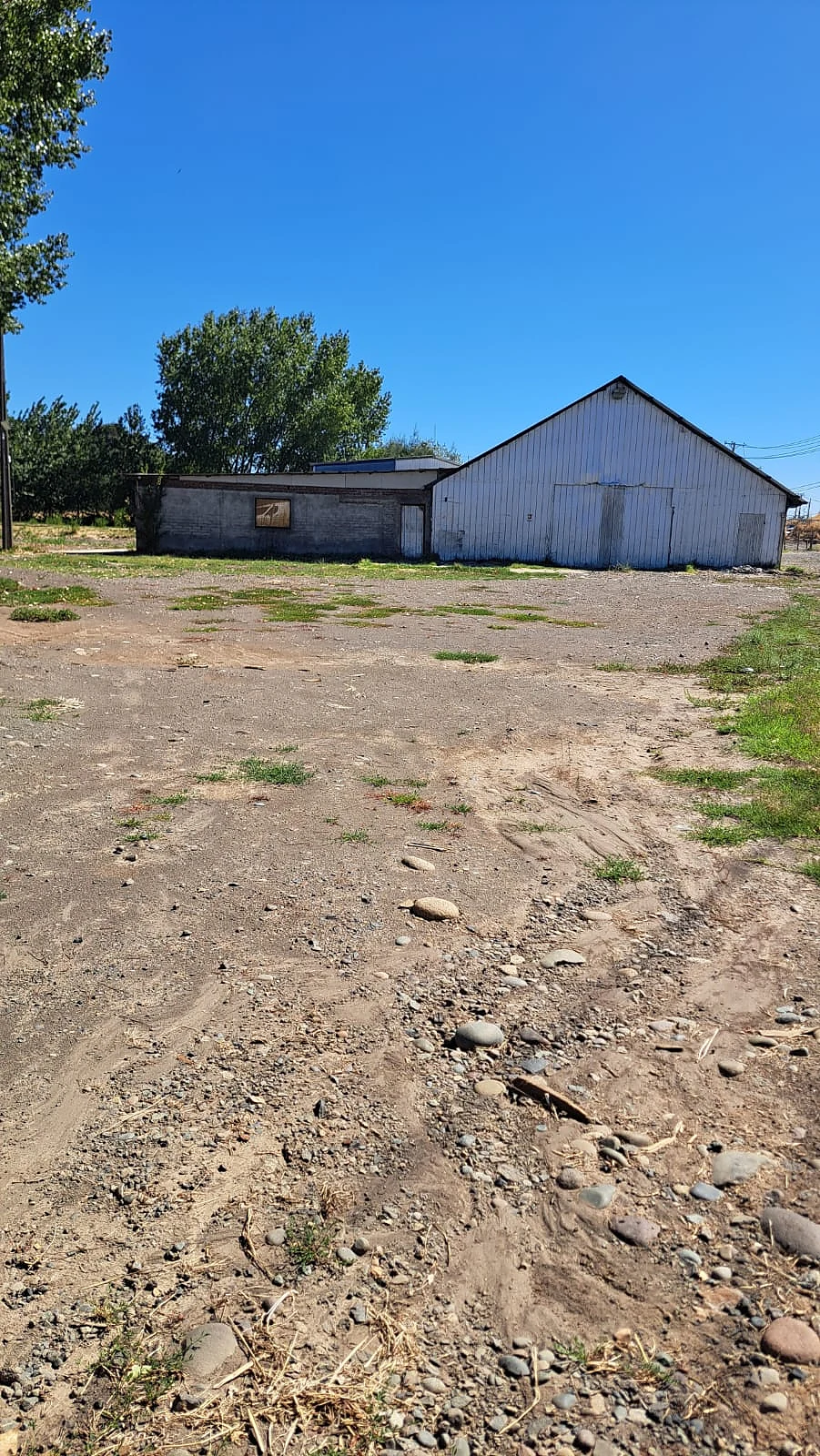 ARRIENDO BODEGA COMERCIAL – RUTA NAHUELBUTA KM 4 | CAMINO A NACIMIENTO – foto 2