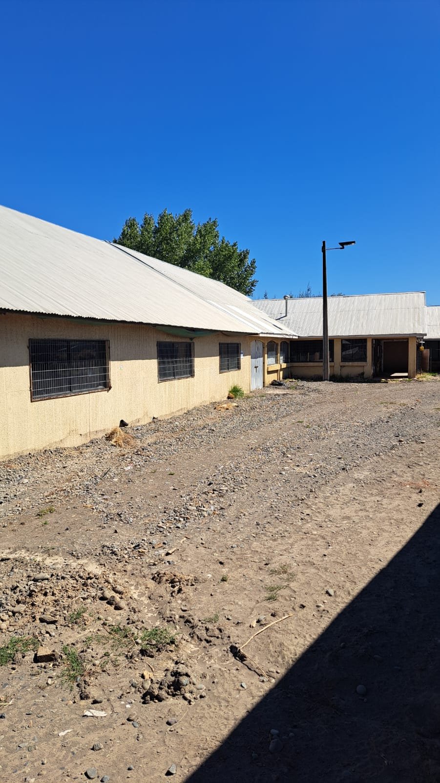 🏢🚛 ARRIENDO BODEGA COMERCIAL – RUTA NAHUELBUTA KM 4 | CAMINO A NACIMIENTO – foto 5