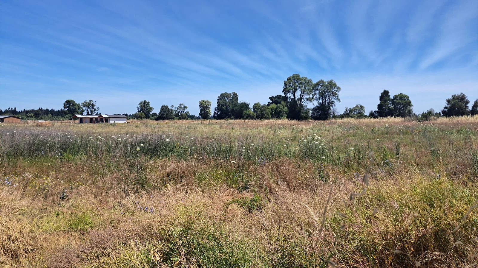 Parcelas en Venta – Sector El Olivo