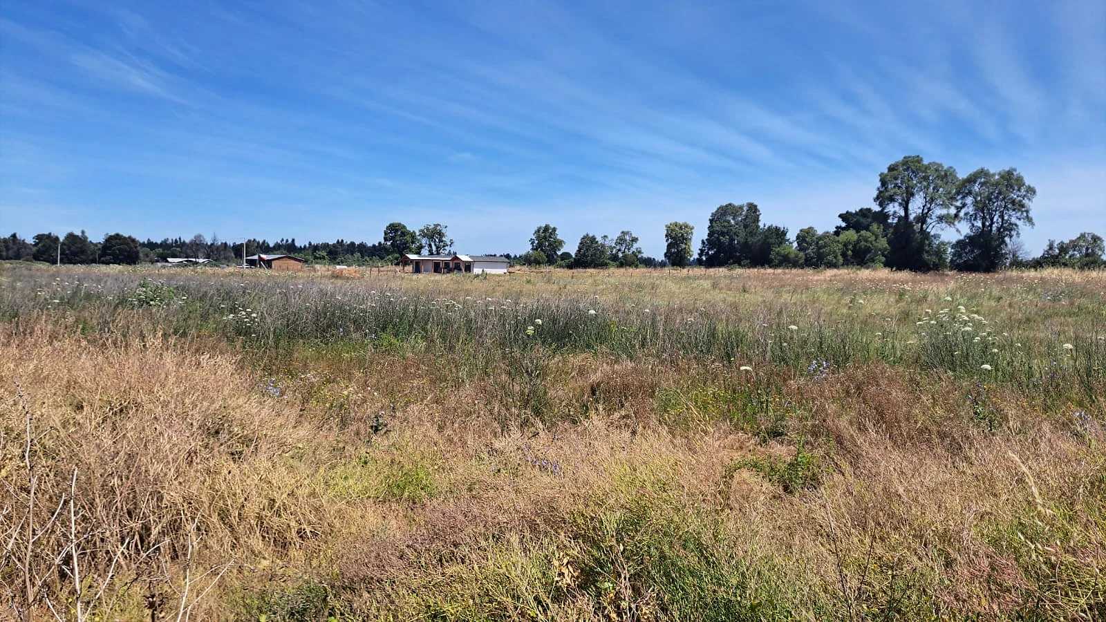 Parcelas en Venta – Sector El Olivo – foto 5