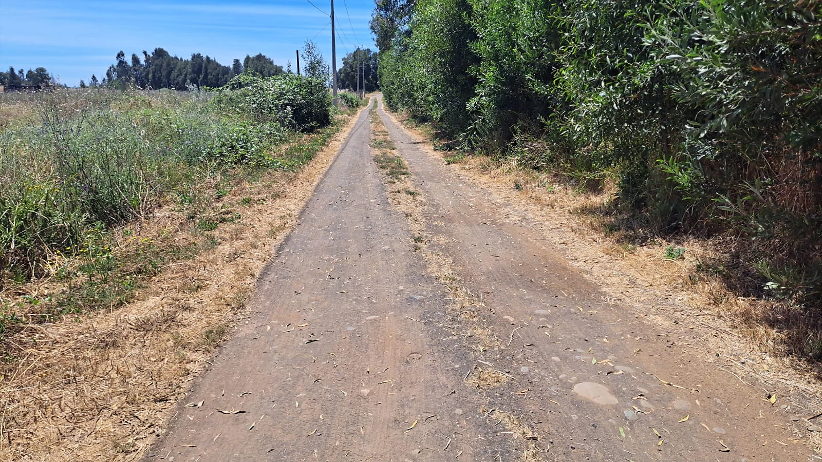 Parcelas en Venta – Sector El Olivo – foto 6