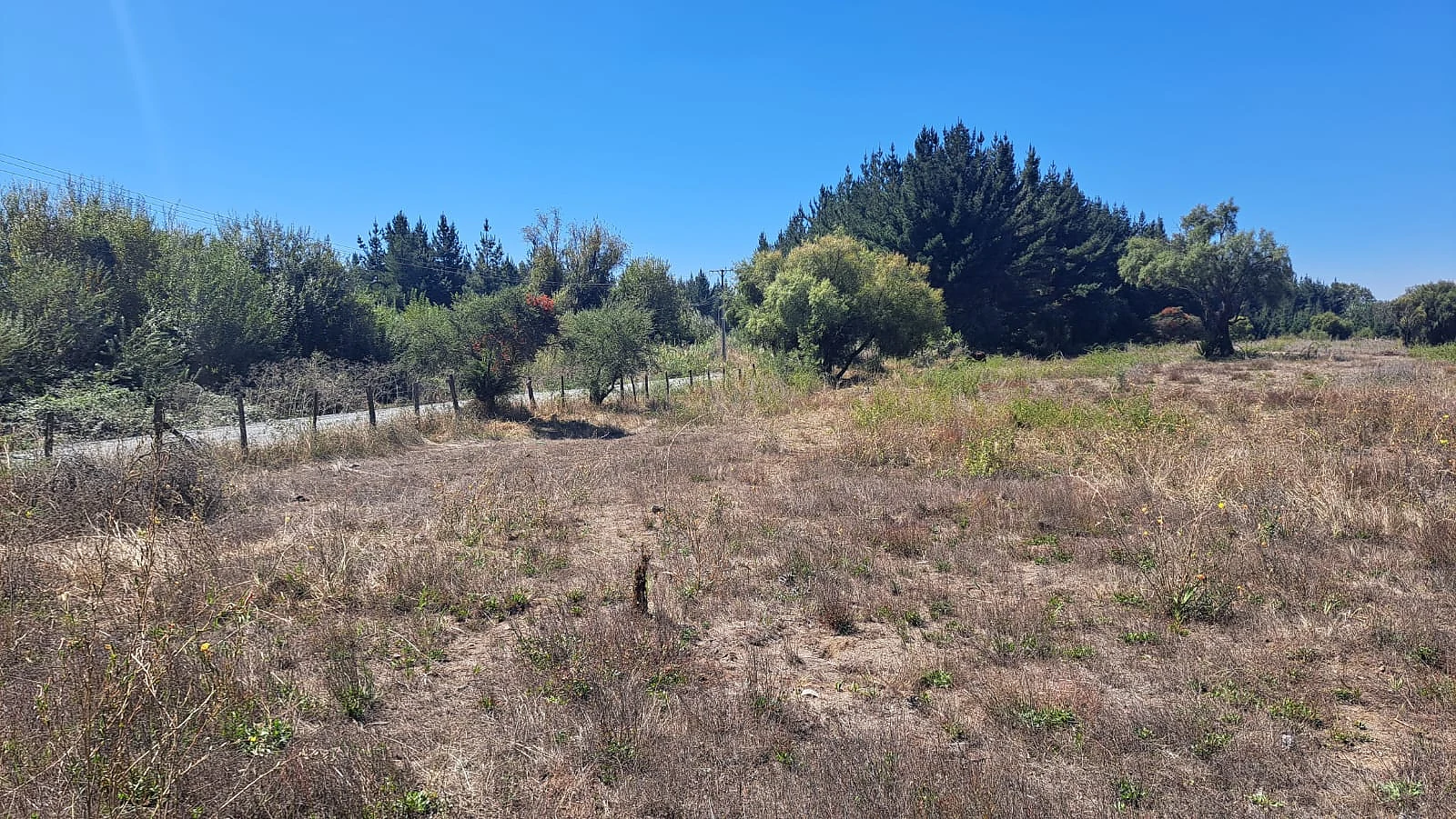 se vende terreno con 9 lotes con rol propio camino santabarbara – foto 2
