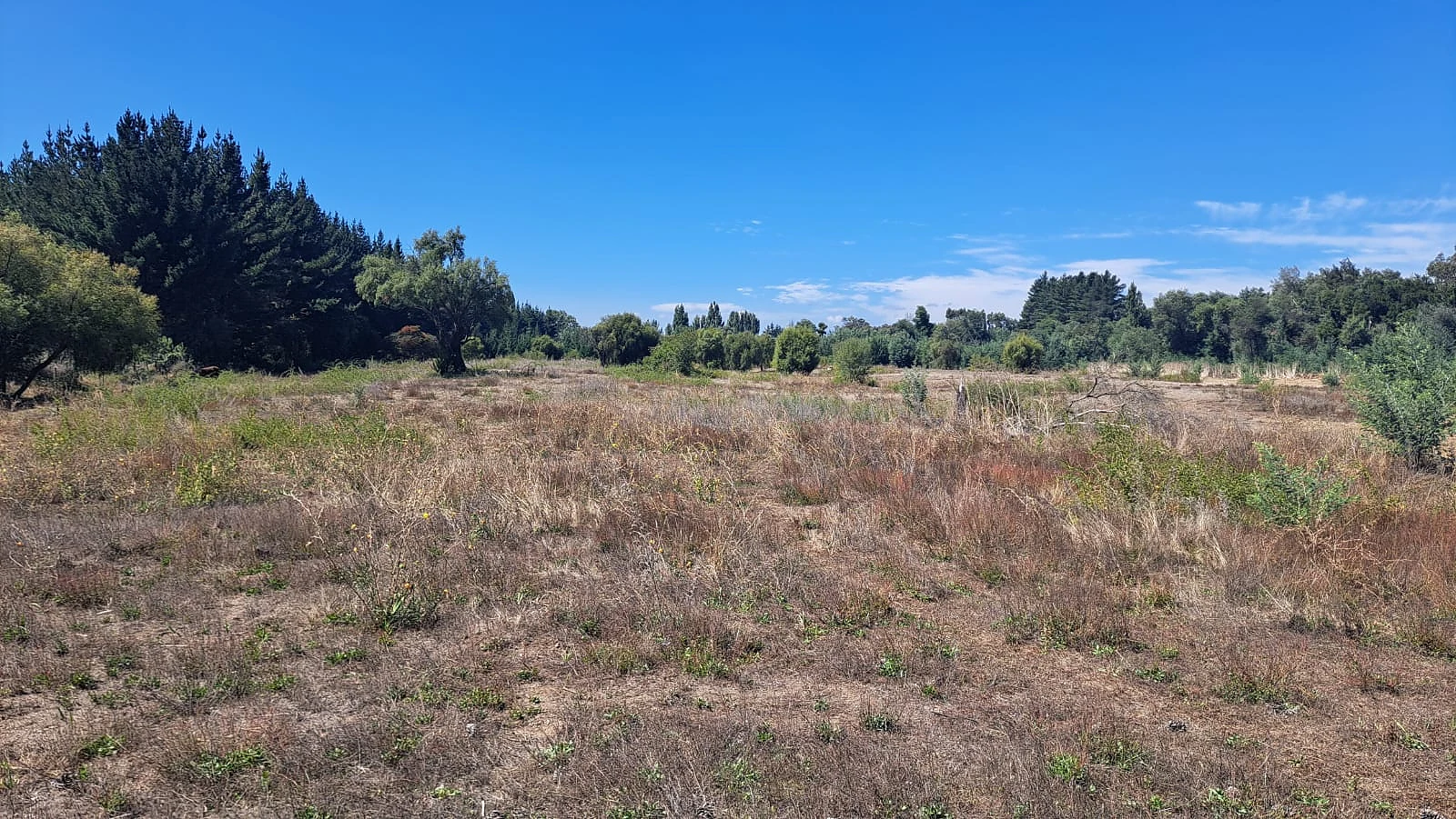 se vende terreno con 9 lotes con rol propio camino santabarbara – foto 3