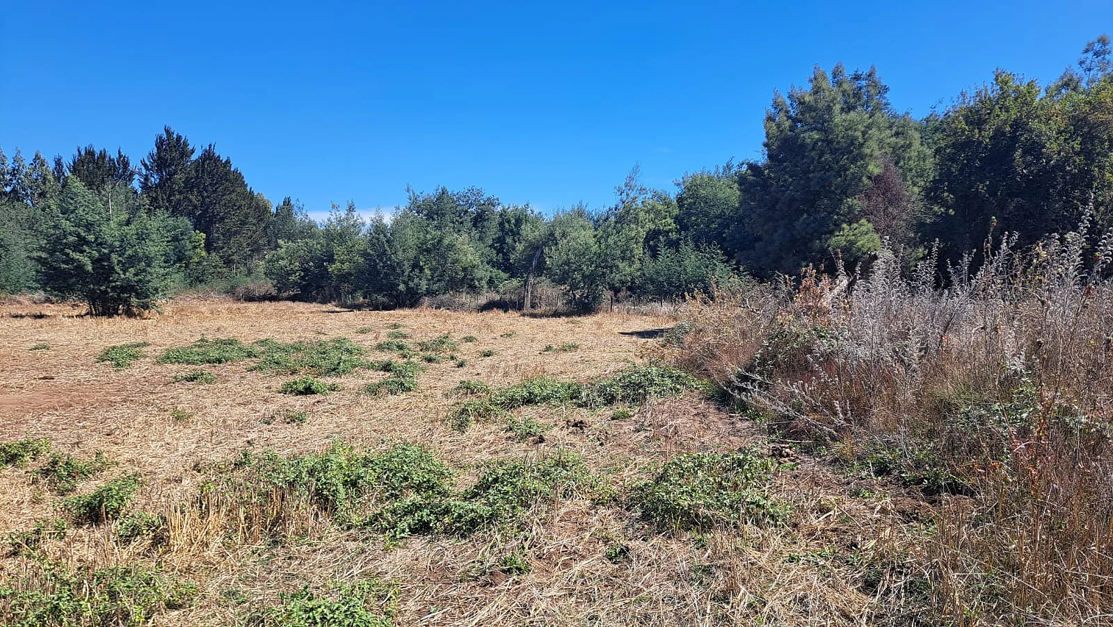 se vende terreno con 9 lotes con rol propio camino santabarbara – foto 5