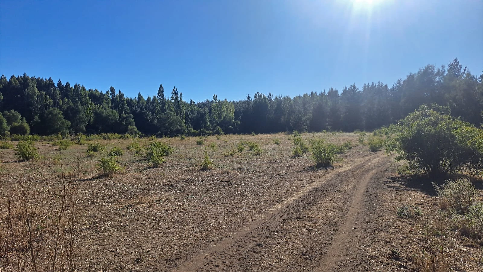 Venta Terreno Agrícola y Forestal con Casa – Las Ciénagas, Los Ángeles – foto 2