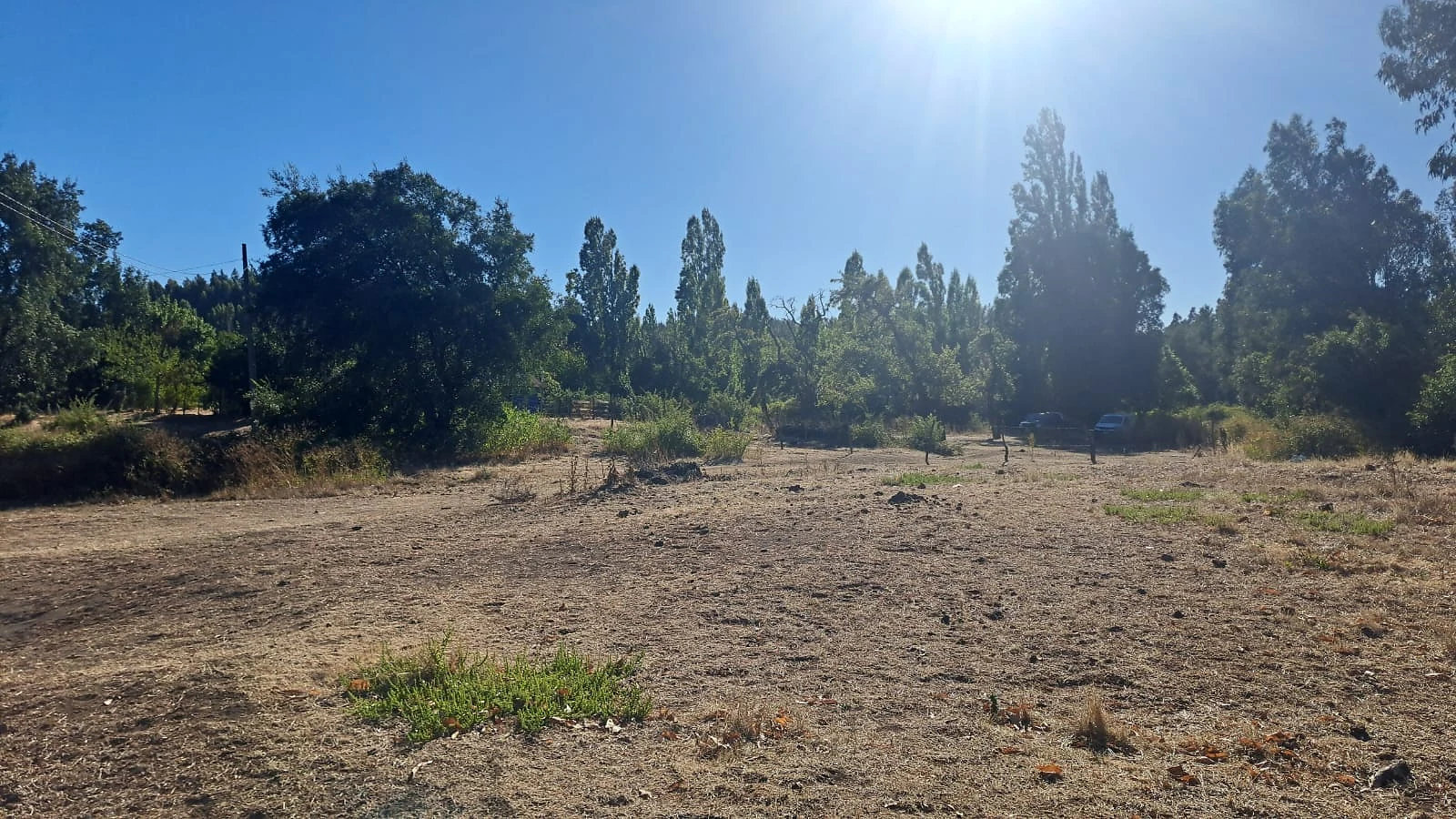 Venta Terreno Agrícola y Forestal con Casa – Las Ciénagas, Los Ángeles – foto 6
