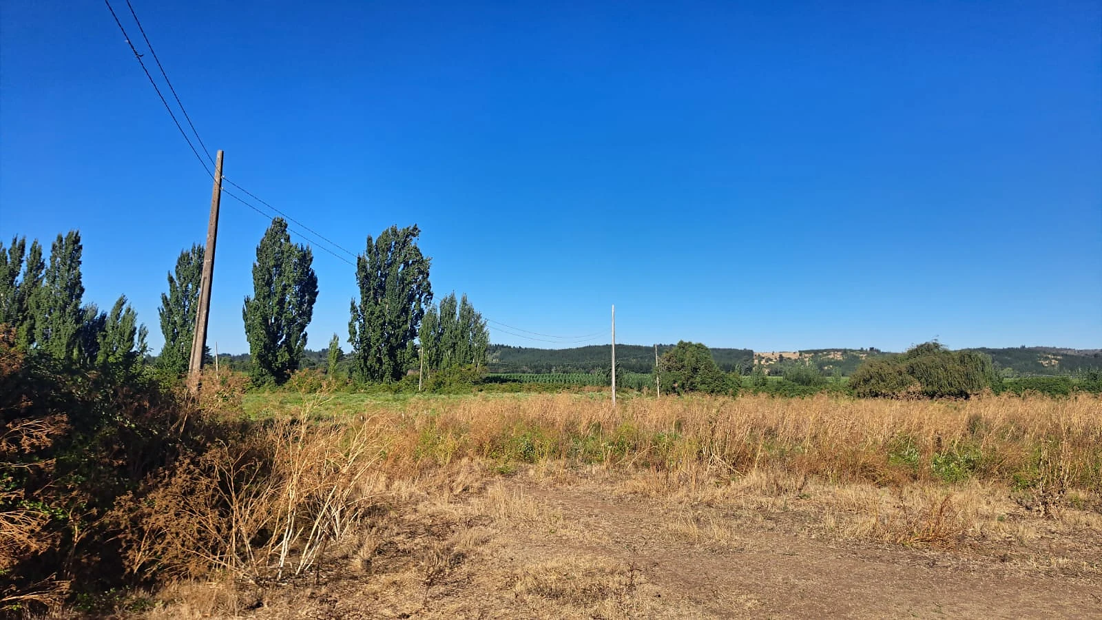 Venta Terreno Agrícola y Forestal con Casa – Las Ciénagas, Los Ángeles – foto 7