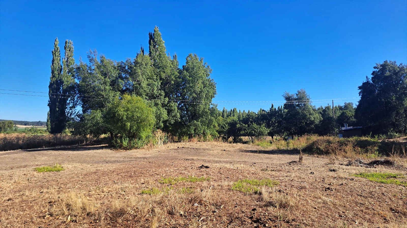 Venta Terreno Agrícola y Forestal con Casa – Las Ciénagas, Los Ángeles – foto 8