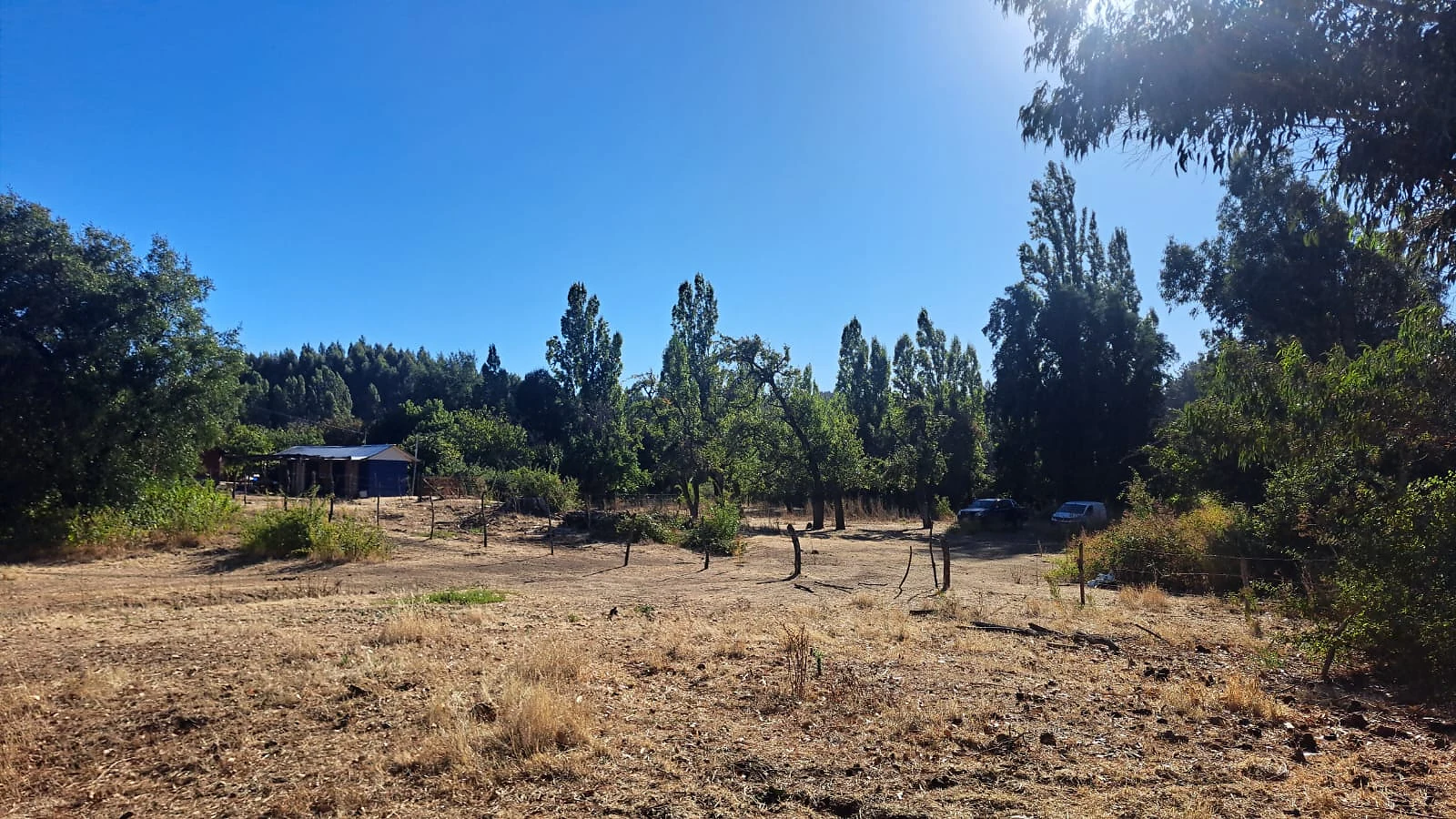 Venta Terreno Agrícola y Forestal con Casa – Las Ciénagas, Los Ángeles – foto 11