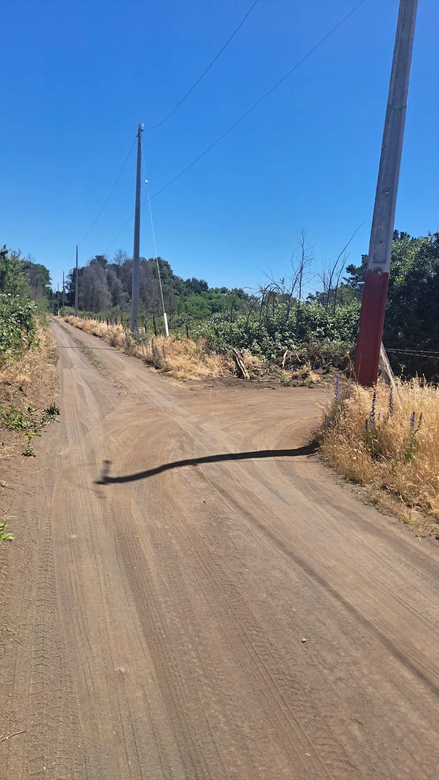 ActivoSur Vende | Parcela de 4 Hectáreas – Sector El Aromo – foto 2