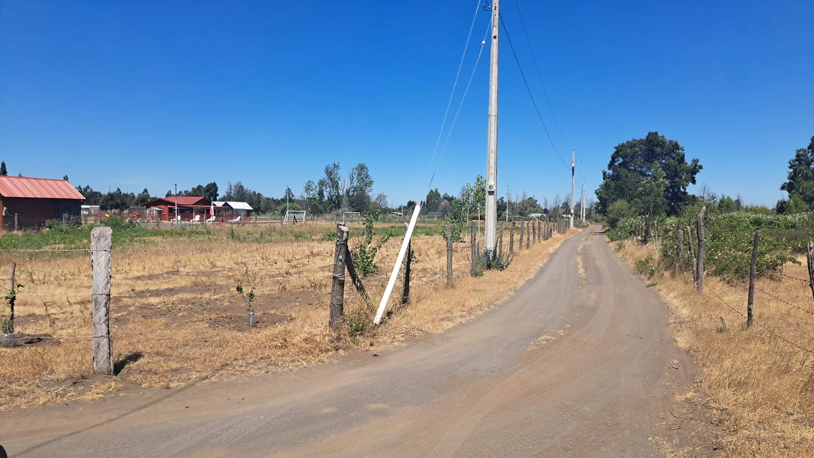 ActivoSur Vende | Parcela de 4 Hectáreas – Sector El Aromo – foto 4