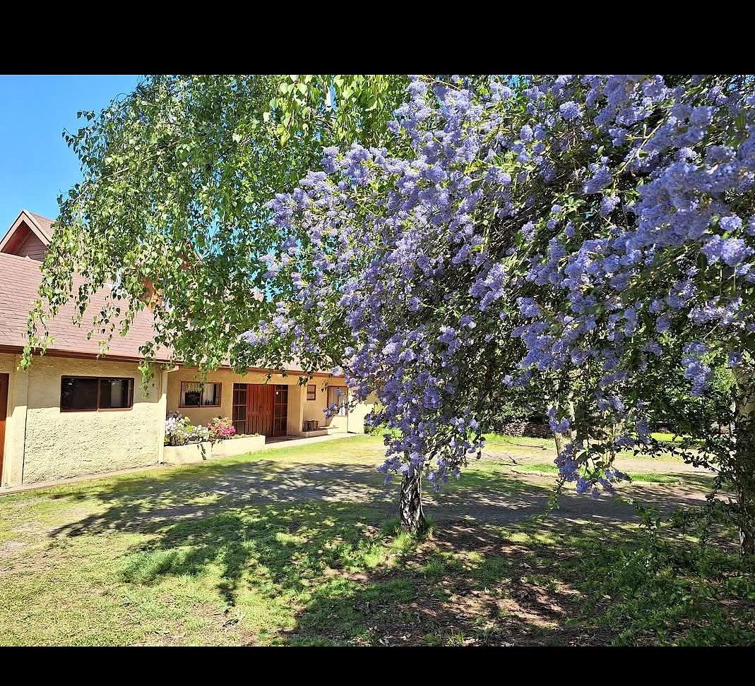 Parcela y casa 200 m² en Arriendo – Sector Don Víctor, Los Ángeles – foto 5